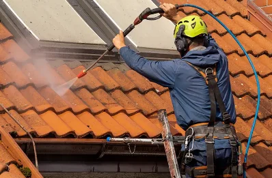 Démoussage et hydrofuge de toiture à Rustenhart